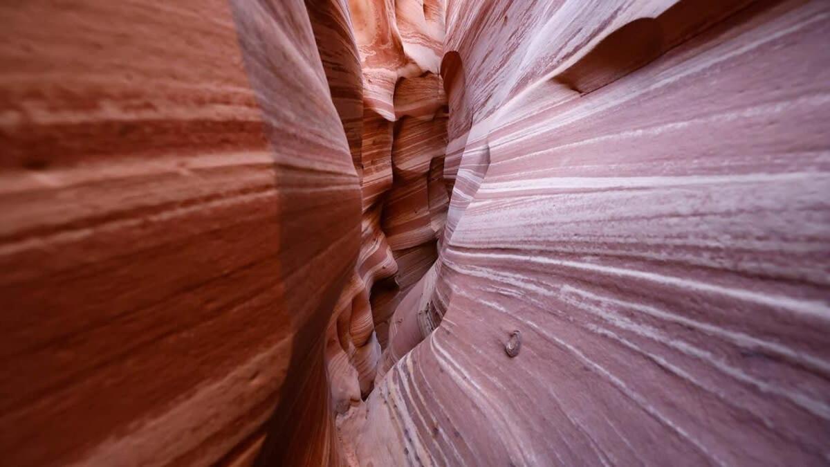 Escalante Escapes Tumble Weed- Bunk Escape Villa Luaran gambar